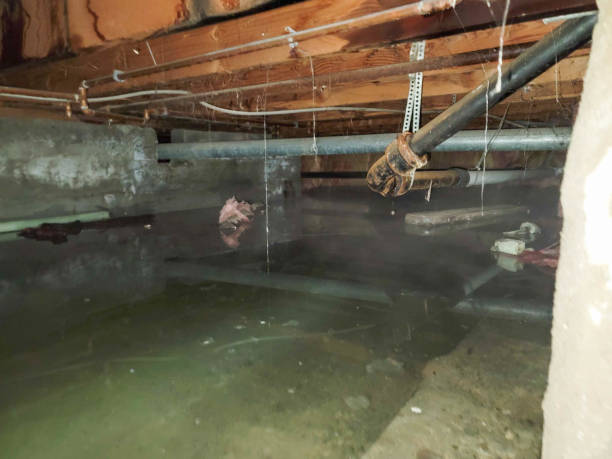 Best Water damage restoration near me  in Matthews, NC