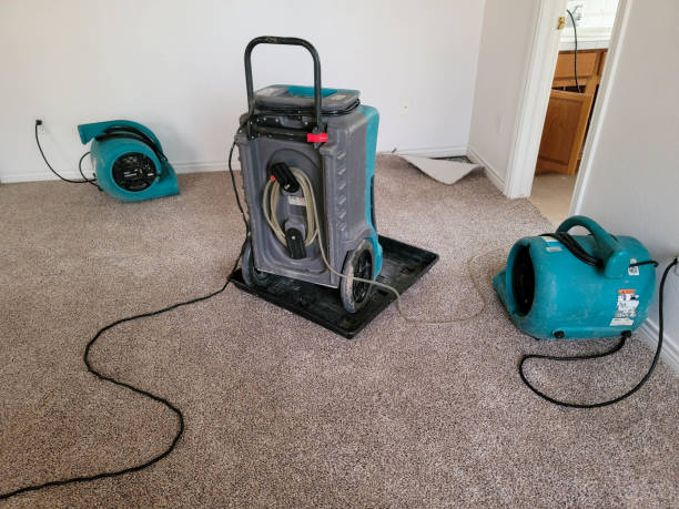 Best Mold removal after water damage  in Matthews, NC