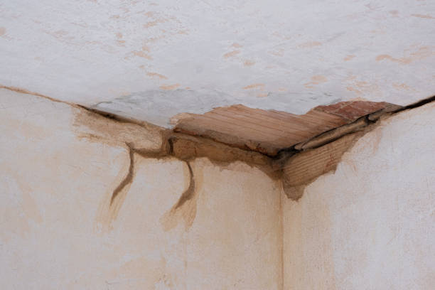 Best 24/7 water damage repair  in Matthews, NC