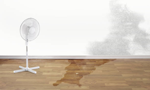 Best Professional water damage repair  in Matthews, NC