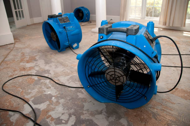 Best Basement water damage restoration  in Matthews, NC