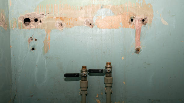 Best Flooded house restoration  in Matthews, NC