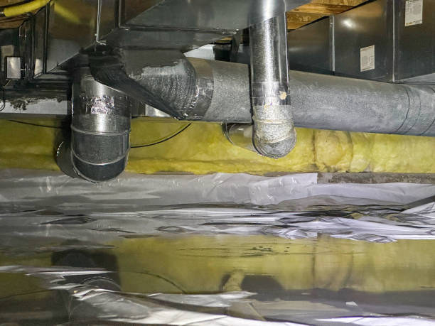 Best Flood restoration services  in Matthews, NC
