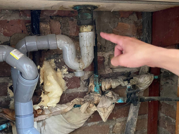 Best Carpet water damage restoration  in Matthews, NC