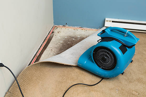 Best Sewage cleanup and water damage restoration  in Matthews, NC